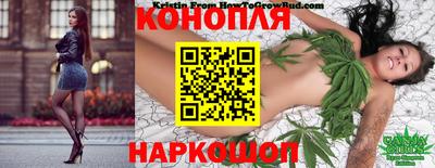 дмт Пушкино