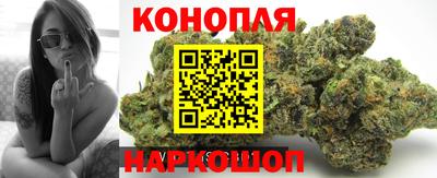 стафф Пугачёв