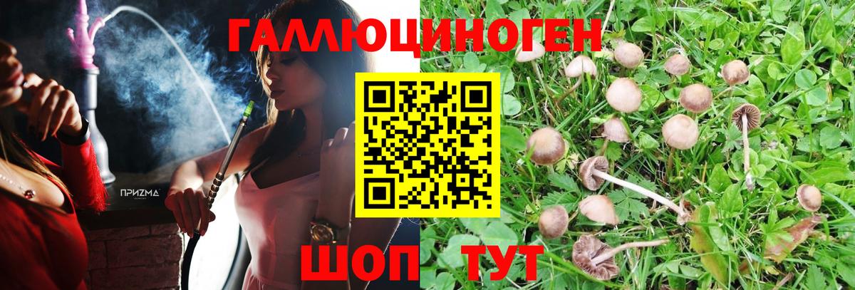 Галлюциногенные грибы мицелий  Галлюциногенные грибы Psilocybine cubensis  Сердобск  Вход с VPN 
