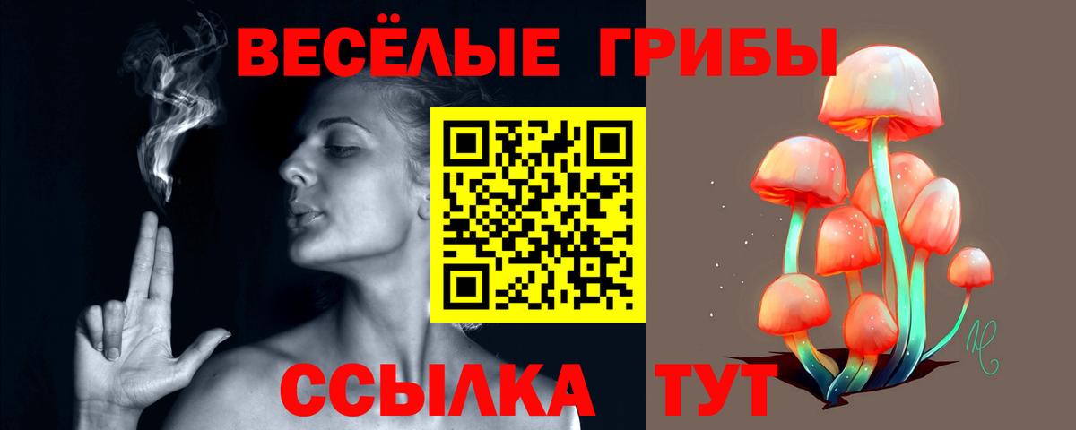 Псилоцибиновые грибы Magic Shrooms Сердобск